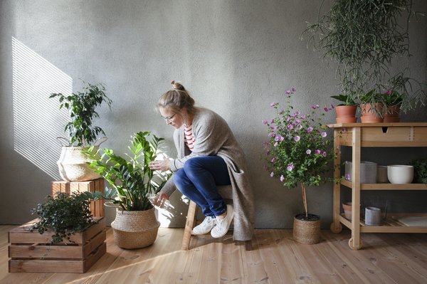 Comment les plantes d'intérieur peuvent améliorer l'écologie dans une maison ?